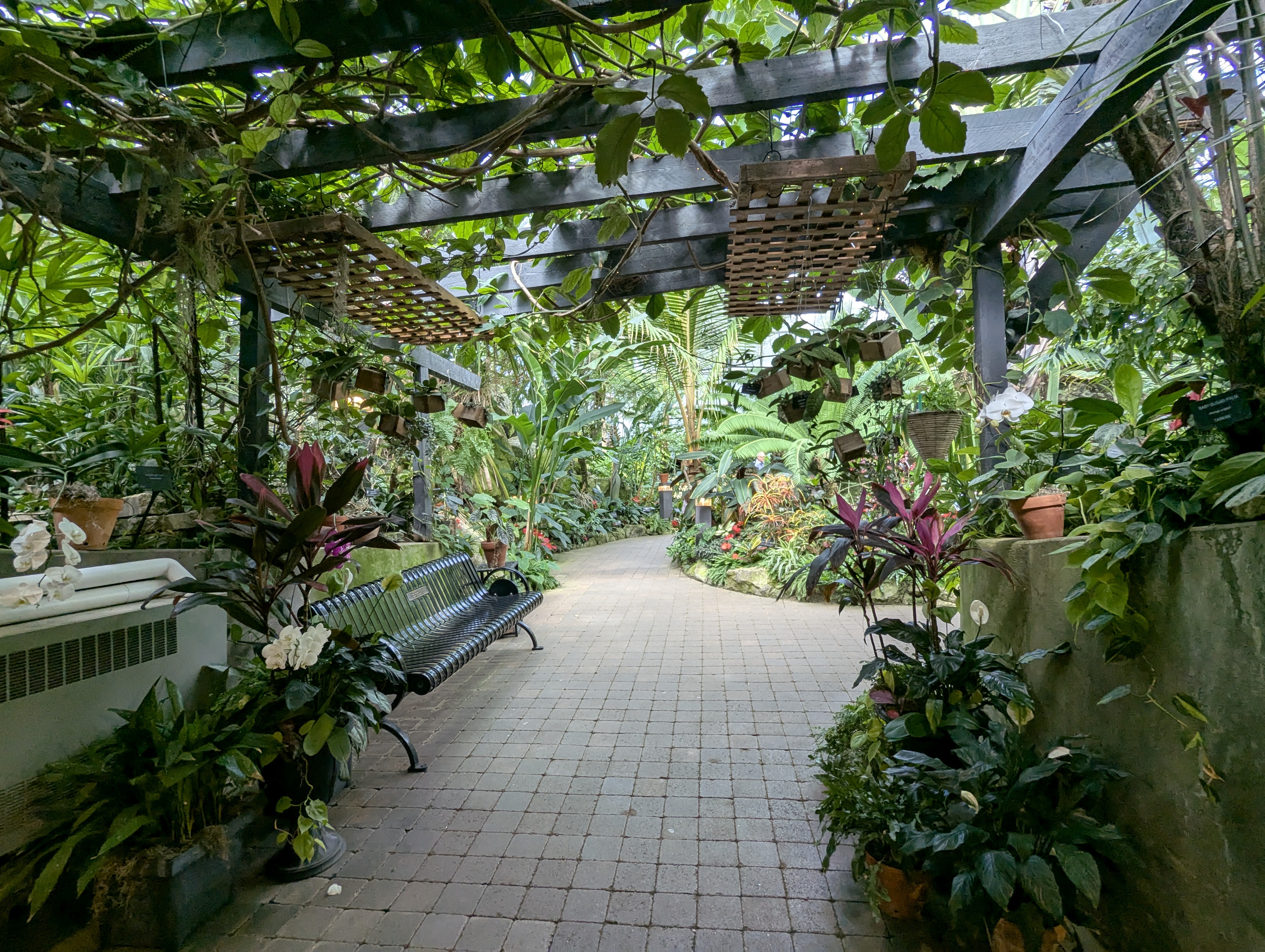 Birthday Trip to Canada, Edmonton, Pyramids, Muttart Observatory